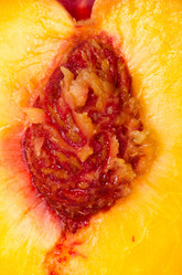 Similar image 1442446