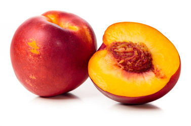 Similar image 1442448