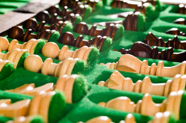 Similar image 1442476