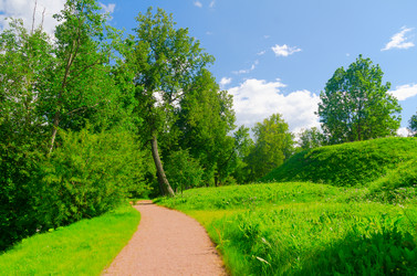 Similar image 1442487