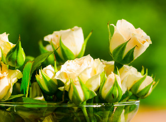 Similar image 1442508