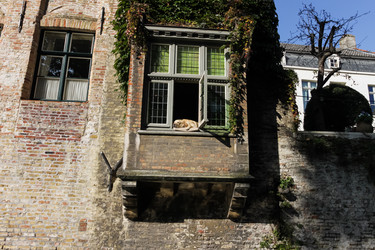 Similar image 1442544