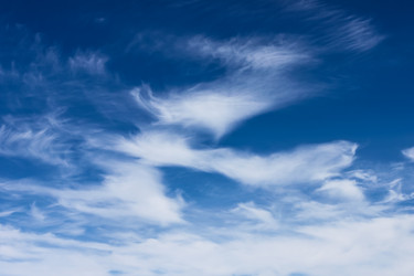 Similar image 1442558