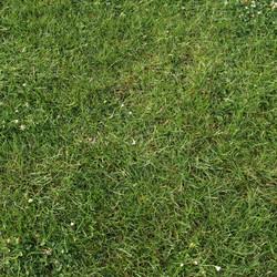 Similar image 1442595