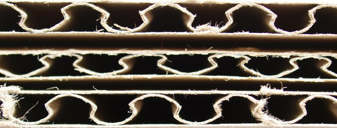 Similar image 1442636