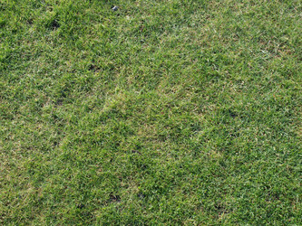 Similar image 1442677