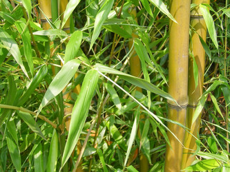 Similar image 1442736