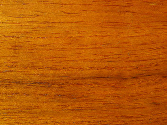 Similar image 1442741