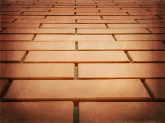 Similar image 1442855