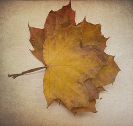 Similar image 1442861