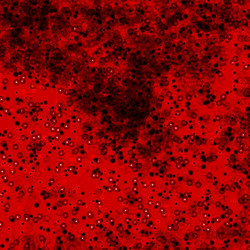 Similar image 1442908