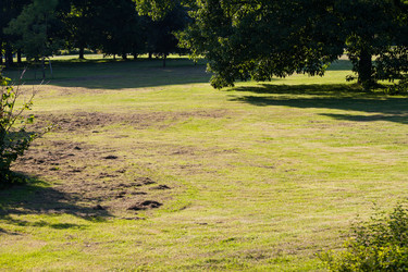 Similar image 1443327