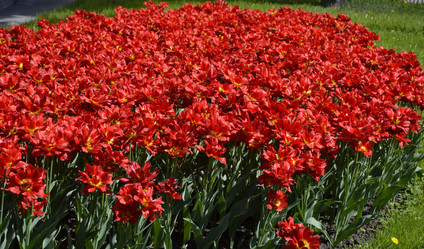 Similar image 1443503