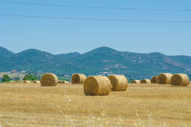 Similar image 1443834