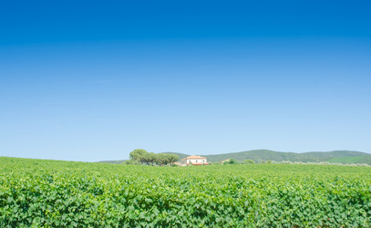 Similar image 1443851