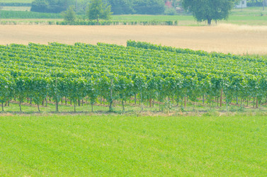 Similar image 1443874