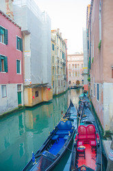 Similar image 1443930