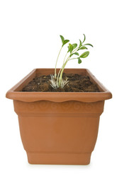 Similar image 1443981