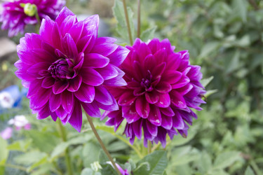 Similar image 1444023