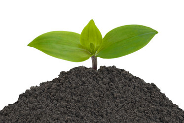 Similar image 1444025