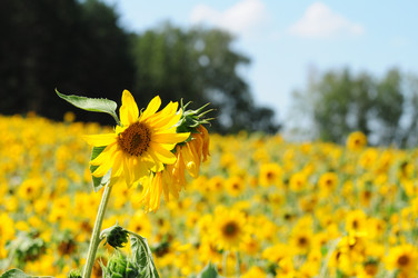 Similar image 1444030