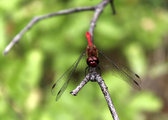 Similar image 1444041