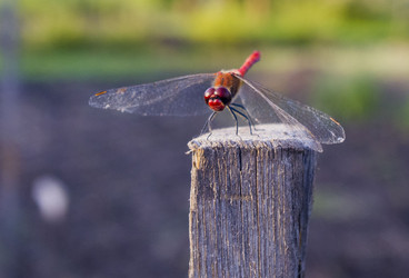 Similar image 1444042