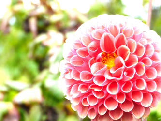 Similar image 1444046