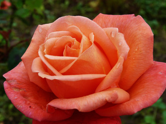 Similar image 1444047