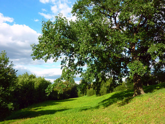 Similar image 1444067