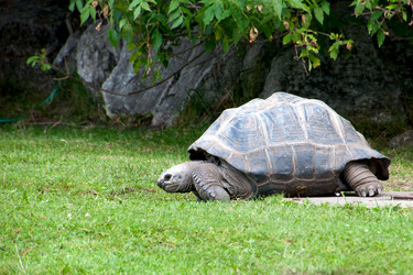 Similar image 1444071