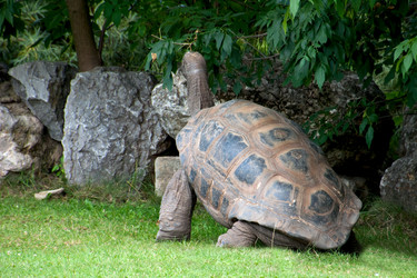 Similar image 1444073