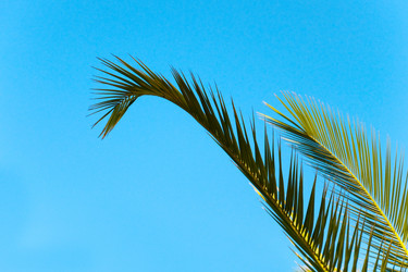 Similar image 1444074