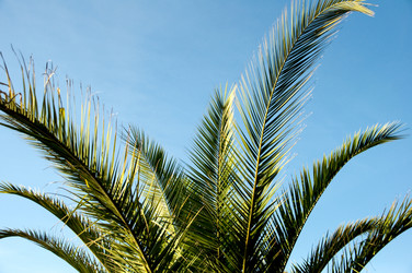 Similar image 1444076