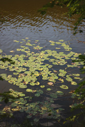 Similar image 1444096