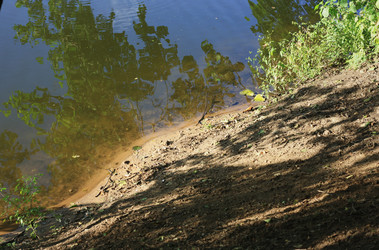 Similar image 1444097