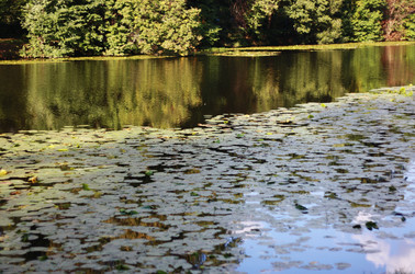 Similar image 1444099