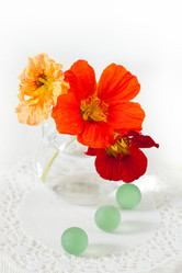 Similar image 1444114