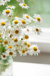 Similar image 1444115