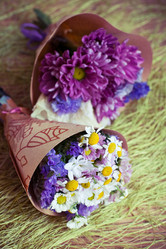 Similar image 1444150