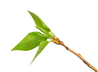 Similar image 1444212