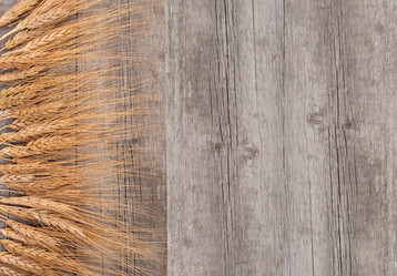 Similar image 1444236