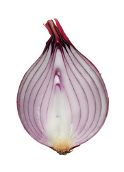 Similar image 1444238