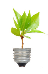 Similar image 1444239