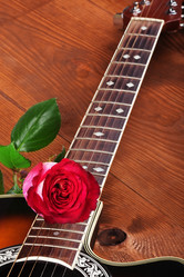 Similar image 1444246