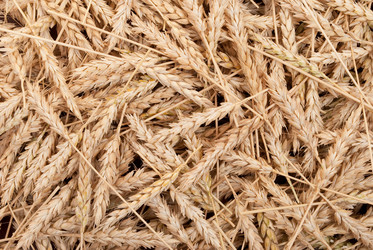 Similar image 1444261