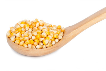 Similar image 1444262