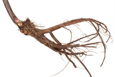 Similar image 1444270