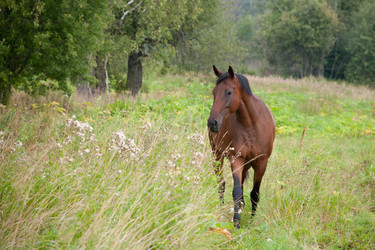 Similar image 1444272