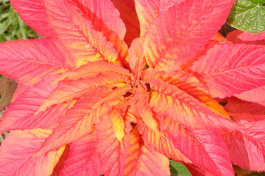 Similar image 1444273